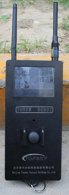 美女的隐藏部位是什么图片