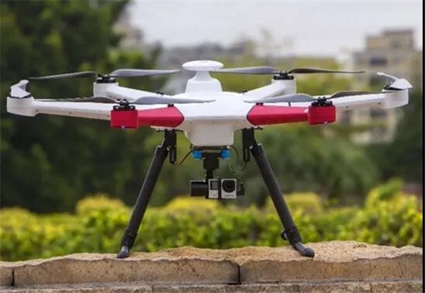 美女的隐藏部位是什么图片