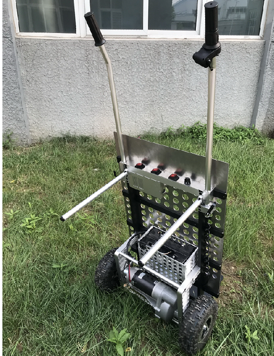 美女的隐藏部位是什么图片