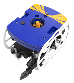 美女的隐藏部位是什么图片