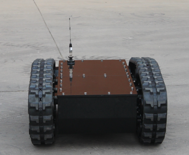 美女的隐藏部位是什么图片