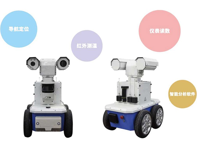 美女的隐藏部位是什么图片