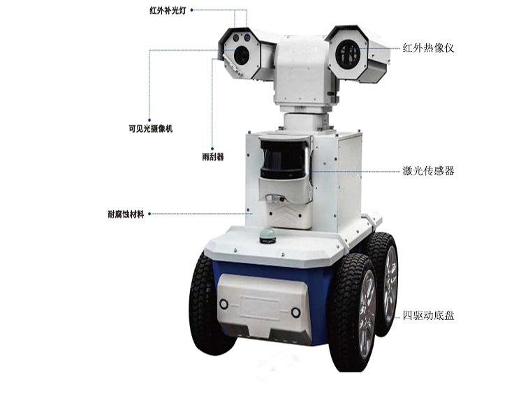 美女的隐藏部位是什么图片