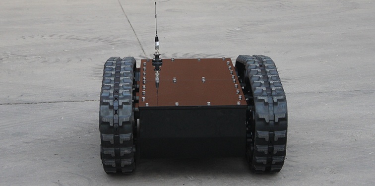 美女的隐藏部位是什么图片