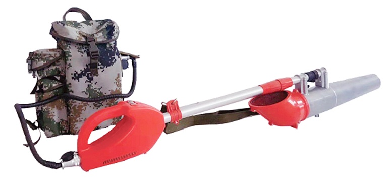 美女的隐藏部位是什么图片