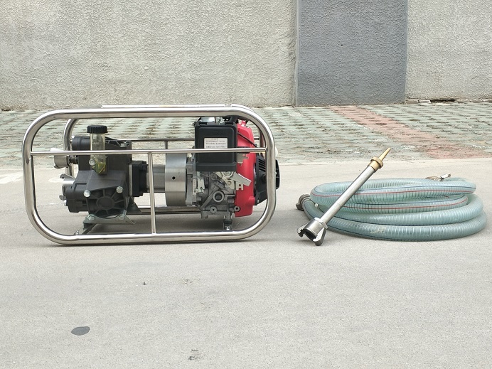 美女的隐藏部位是什么图片