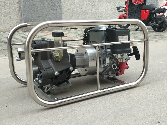 美女的隐藏部位是什么图片