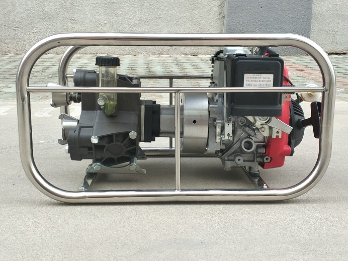 美女的隐藏部位是什么图片