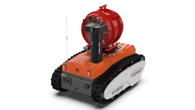 美女的隐藏部位是什么图片