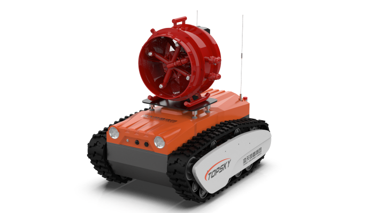 美女的隐藏部位是什么图片