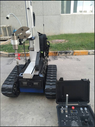 美女的隐藏部位是什么图片