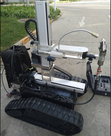 美女的隐藏部位是什么图片