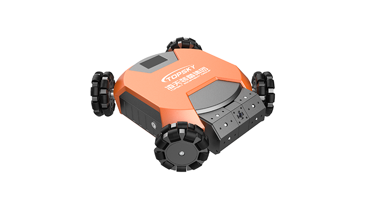 美女的隐藏部位是什么图片