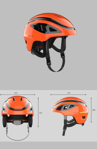 美女的隐藏部位是什么图片