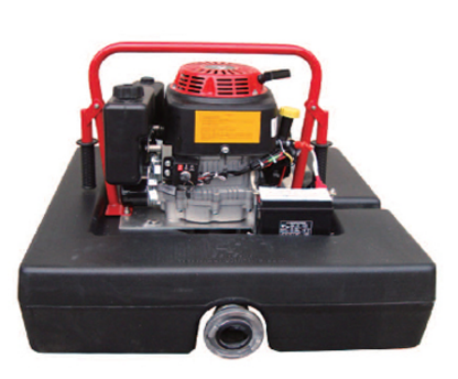 美女的隐藏部位是什么图片