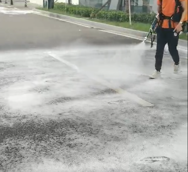 美女的隐藏部位是什么图片