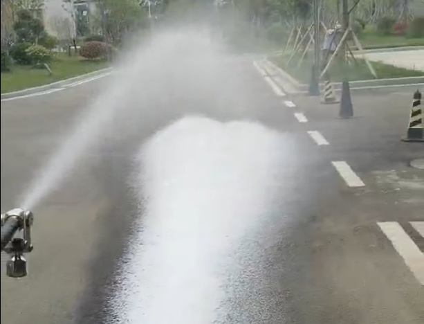 美女的隐藏部位是什么图片