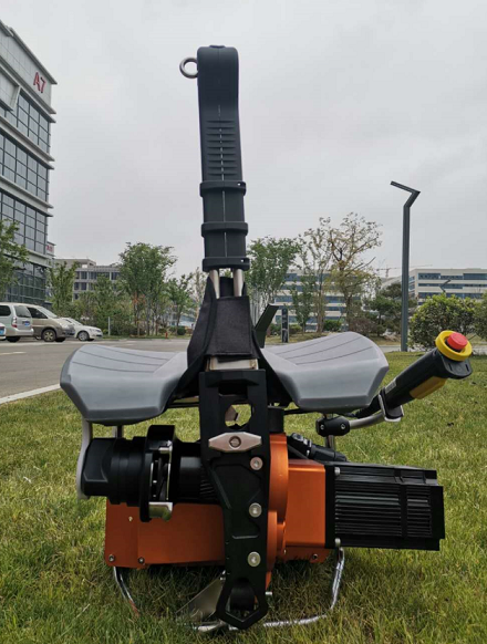 美女的隐藏部位是什么图片