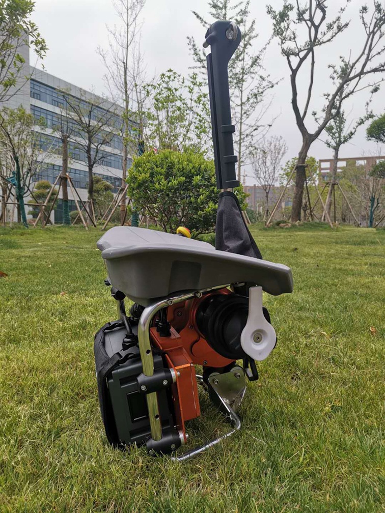 美女的隐藏部位是什么图片