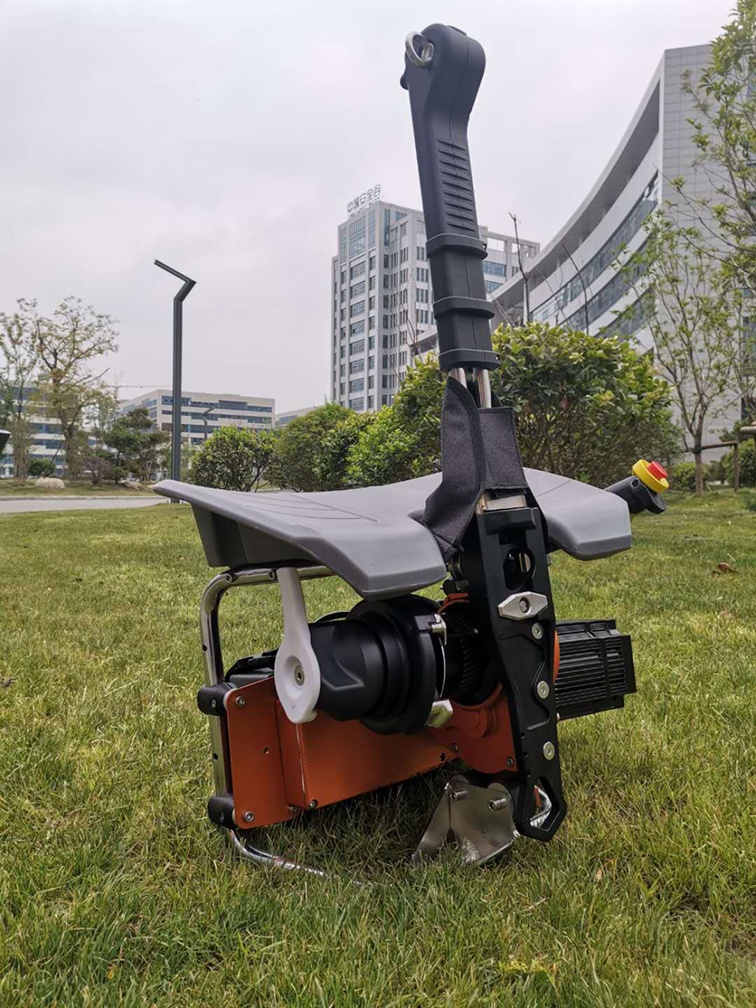 美女的隐藏部位是什么图片