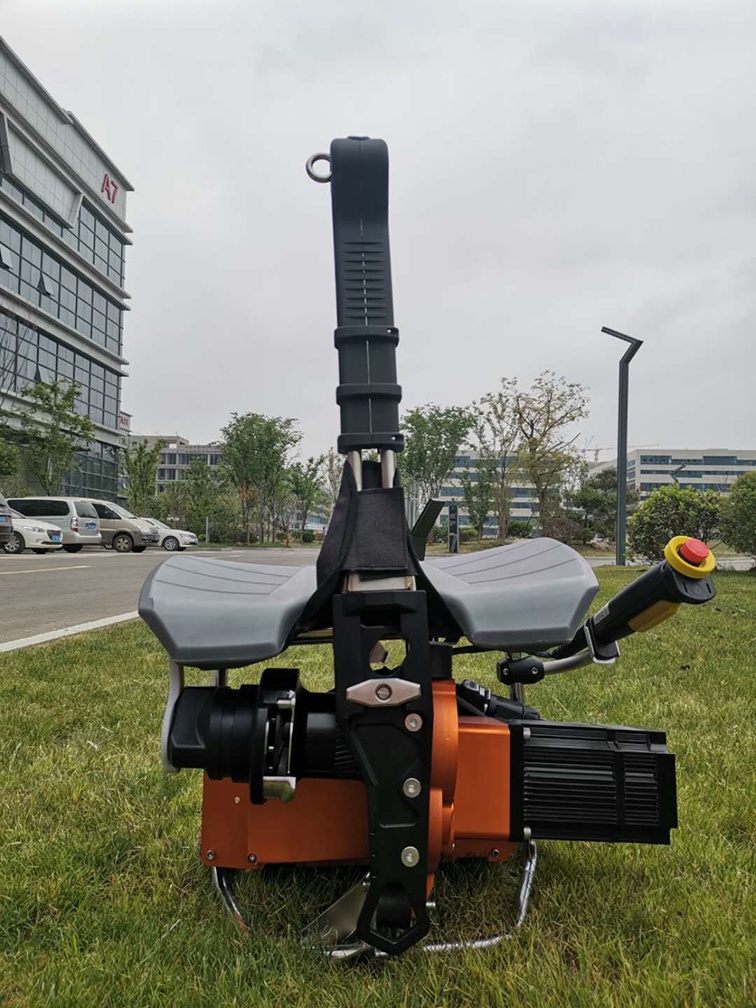 美女的隐藏部位是什么图片