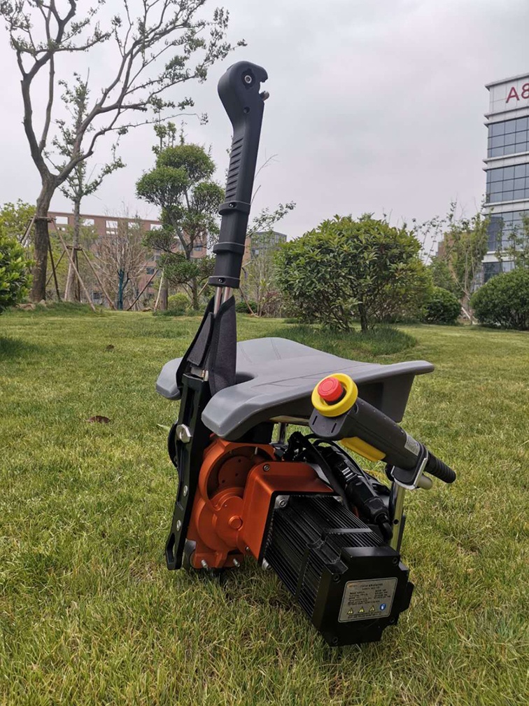 美女的隐藏部位是什么图片