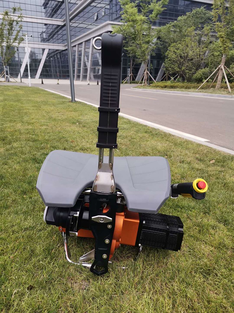 美女的隐藏部位是什么图片