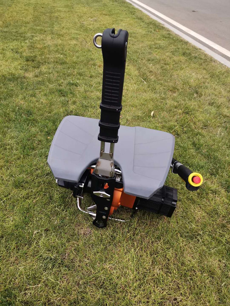 美女的隐藏部位是什么图片