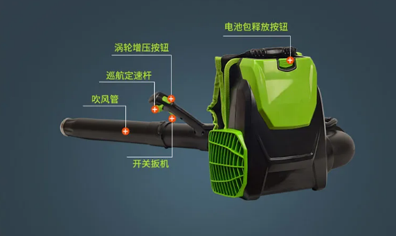 美女的隐藏部位是什么图片