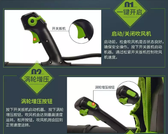 美女的隐藏部位是什么图片