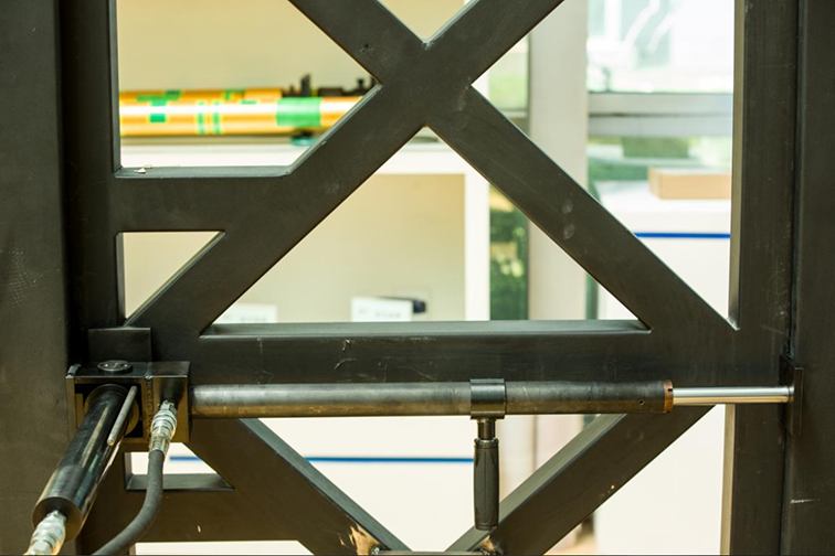 美女的隐藏部位是什么图片