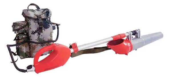 美女的隐藏部位是什么图片