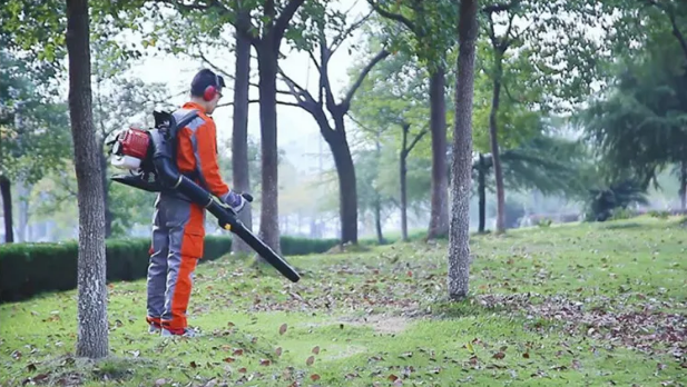 美女的隐藏部位是什么图片