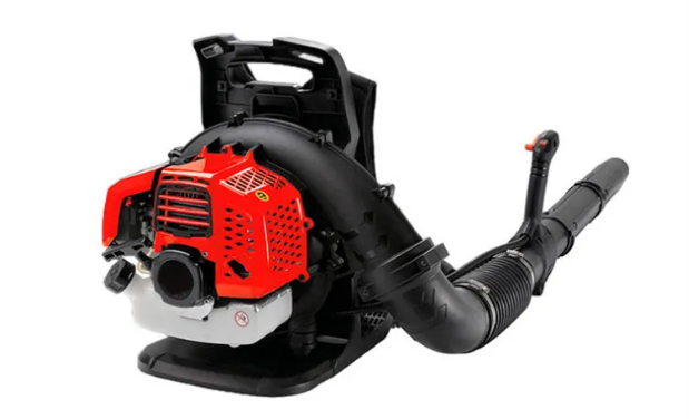 美女的隐藏部位是什么图片