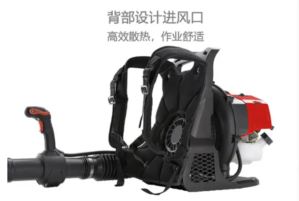 美女的隐藏部位是什么图片