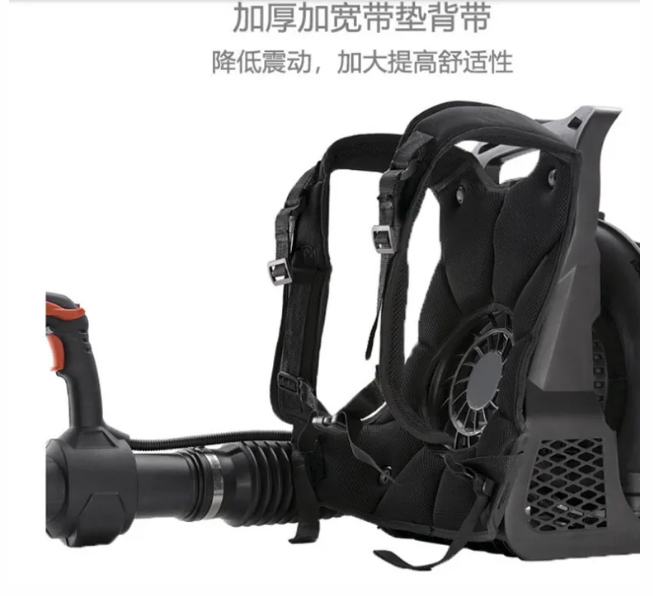 美女的隐藏部位是什么图片