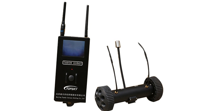 美女的隐藏部位是什么图片