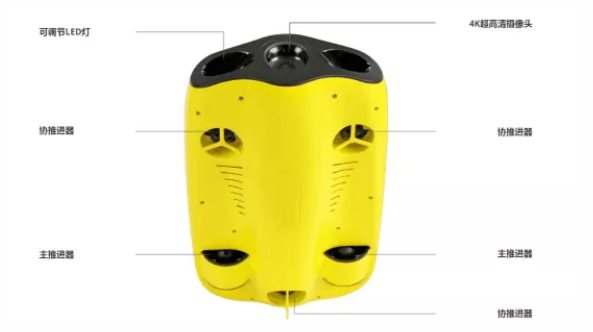 美女的隐藏部位是什么图片