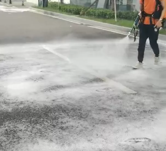 美女的隐藏部位是什么图片