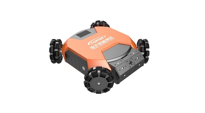 美女的隐藏部位是什么图片