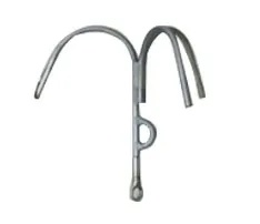 美女的隐藏部位是什么图片