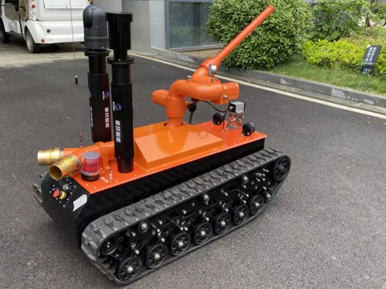 美女的隐藏部位是什么图片