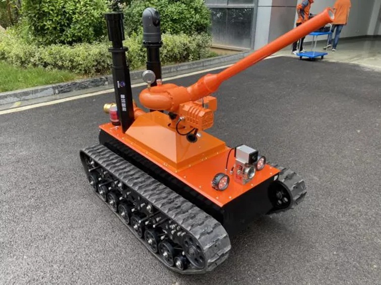 美女的隐藏部位是什么图片