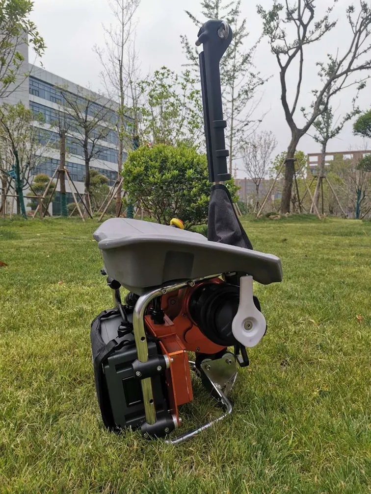 美女的隐藏部位是什么图片