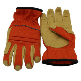 美女的隐藏部位是什么图片