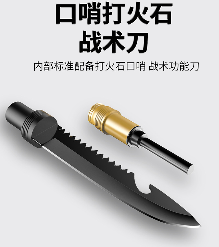 美女的隐藏部位是什么图片