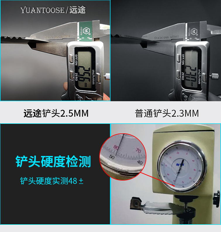 美女的隐藏部位是什么图片