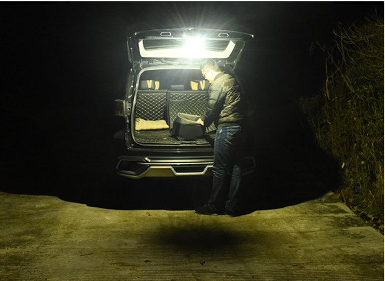 美女的隐藏部位是什么图片