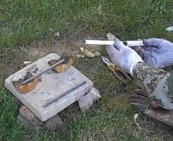 美女的隐藏部位是什么图片