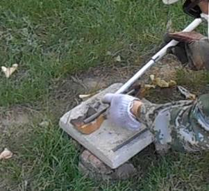 美女的隐藏部位是什么图片